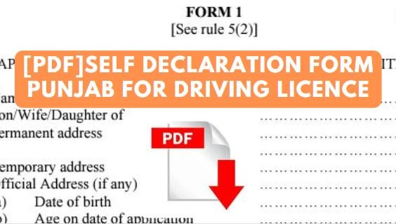 self declaration form punjab for driving licence