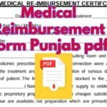 Medical Reimbursement Form Punjab pdf Medical Reimbursement Form Punjab pdf