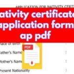 nativity certificate application form ap pdf - Are you a resident of Andhra Pradesh and in need of a nativity certificate?