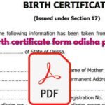 birth certificate form odisha pdf Download