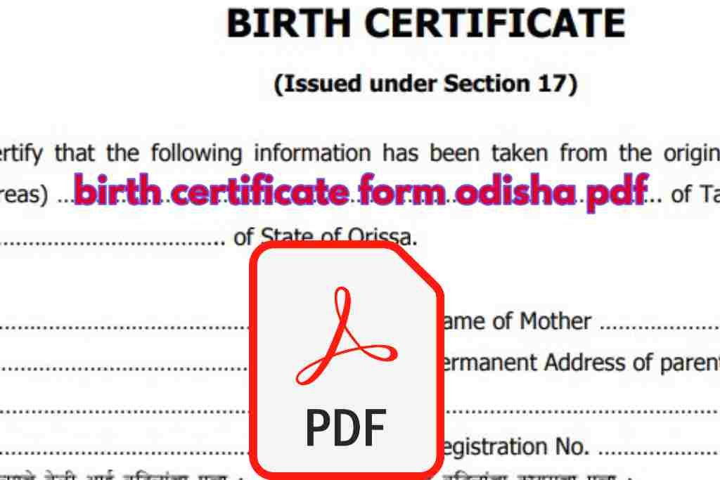 birth certificate form odisha pdf Download