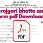 berojgari bhatta aay form pdf Download