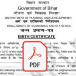 birth certificate form pdf download bihar