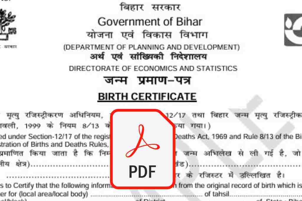 birth certificate form pdf download bihar