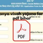 kanya vivah yojana form pdf bihar Download |